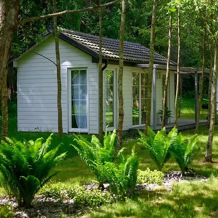 Comfortable No 3b With A Fireplace *